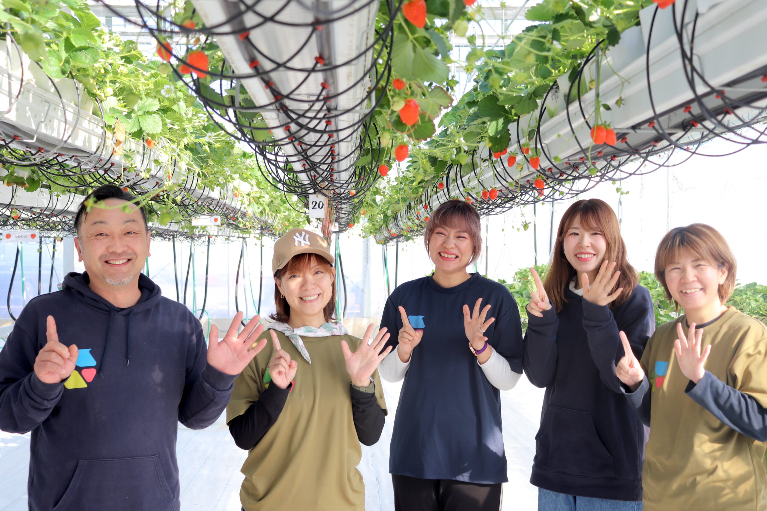 雨の日でもベビーカーでもいちご狩りが楽しめる「やまへい農場」を訪ねてみた。