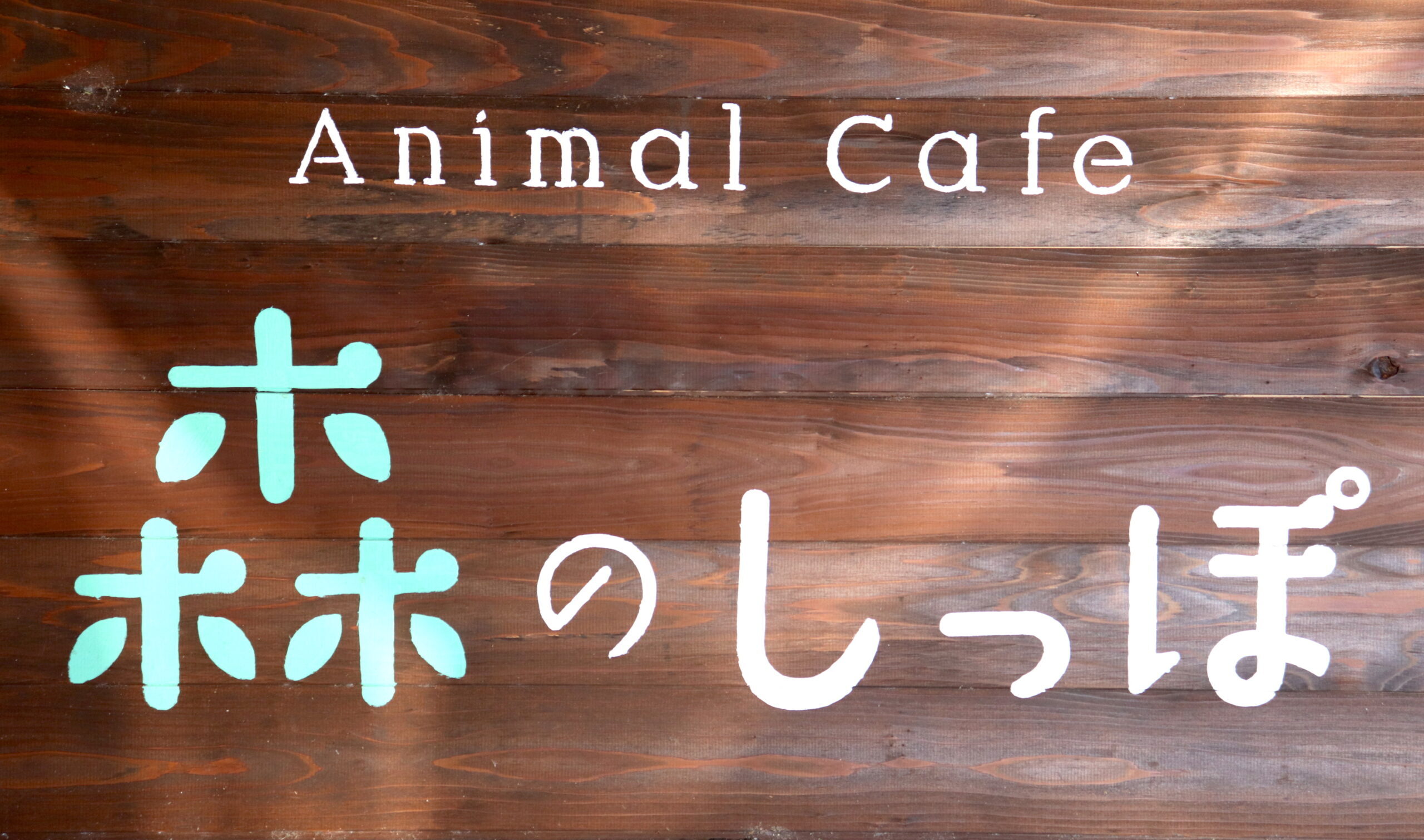 動物と触れ合える癒し空間「Animal Cafe 森のしっぽ」を訪ねてみた。